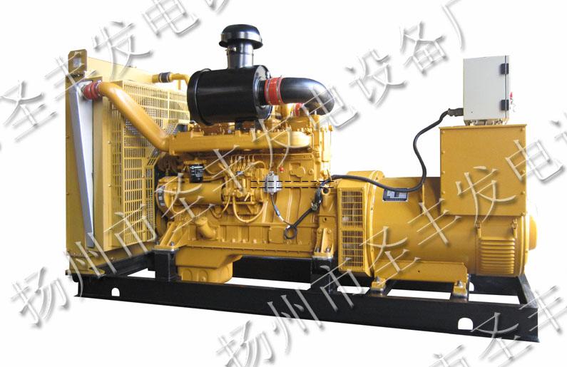 ShangChai incorporated Factory 300KW Diesel Generator Set